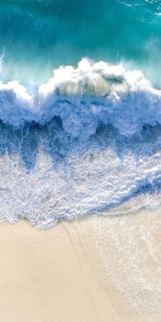 Frais & Aquatique