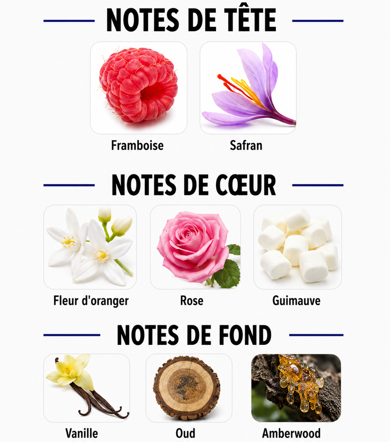 Notes Olfactives