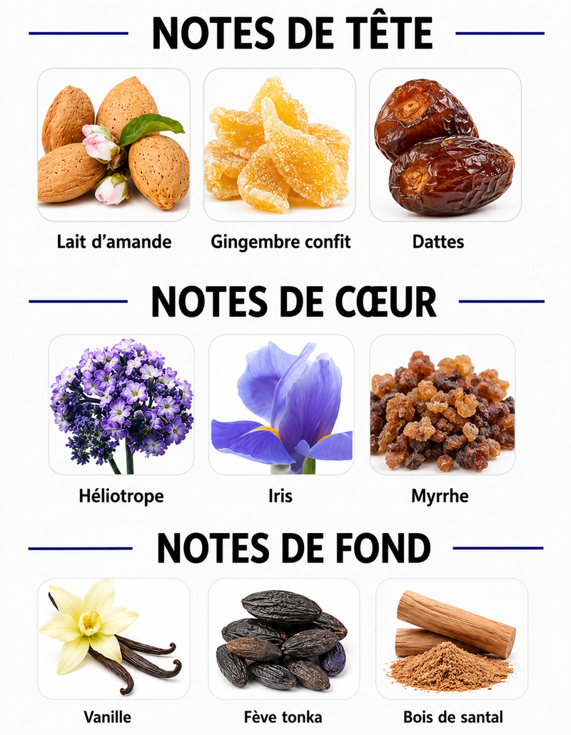 Notes Olfactives
