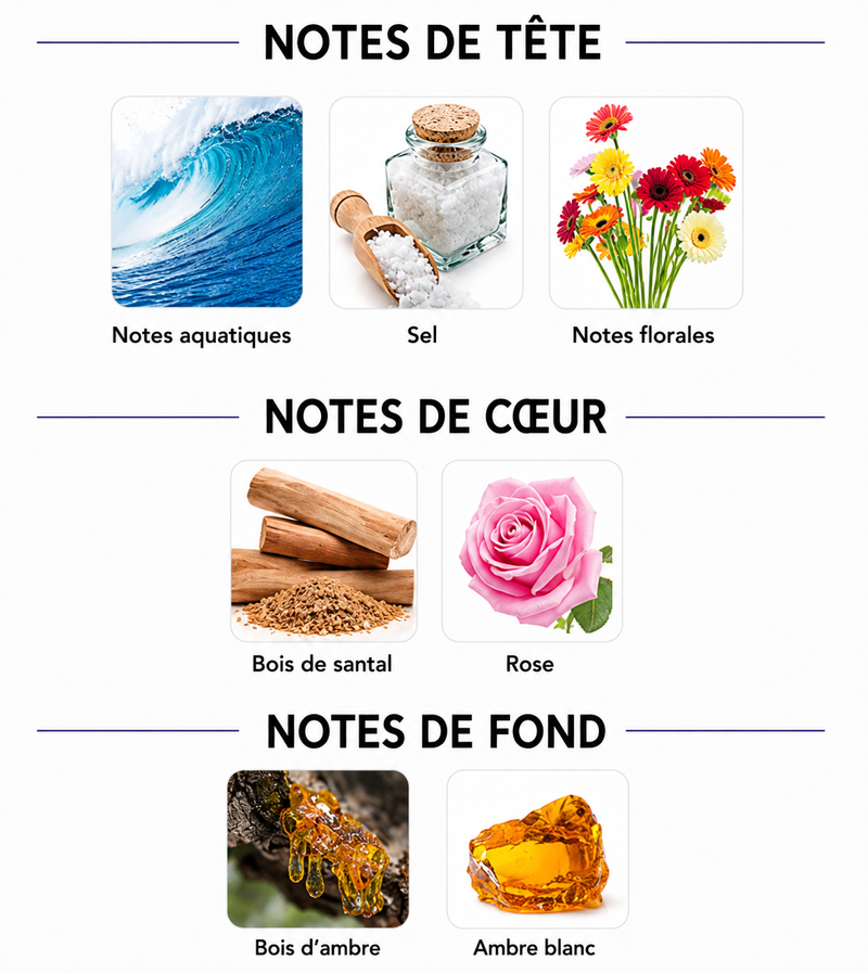 Notes Olfactives