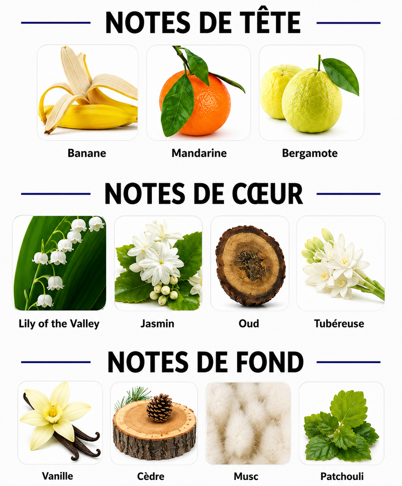 Notes Olfactives