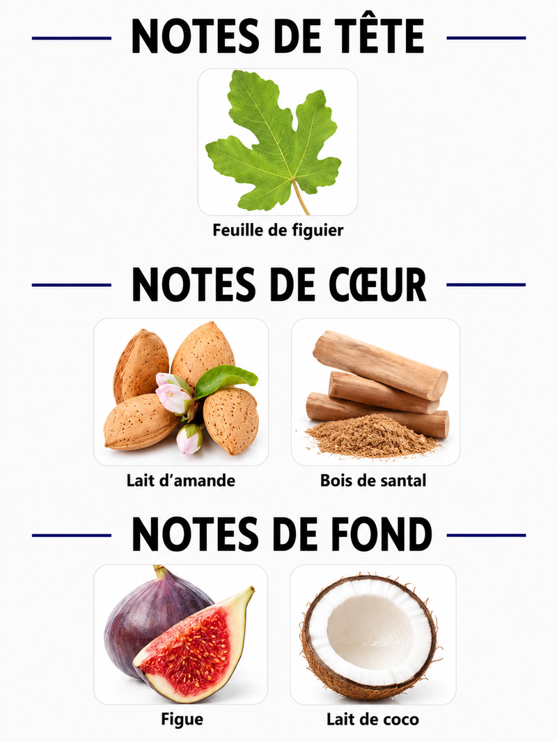 Notes Olfactives