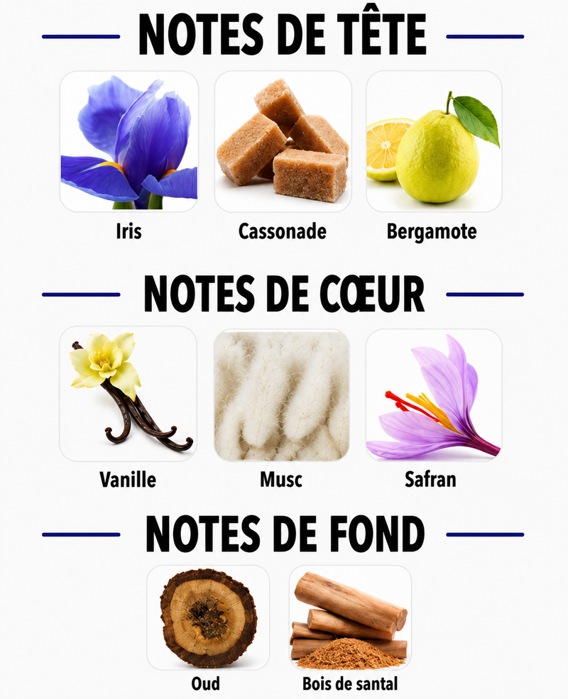 Notes Olfactives