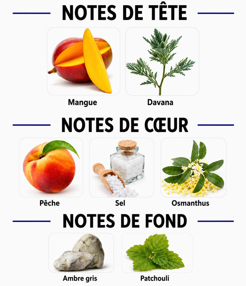 Notes Olfactives