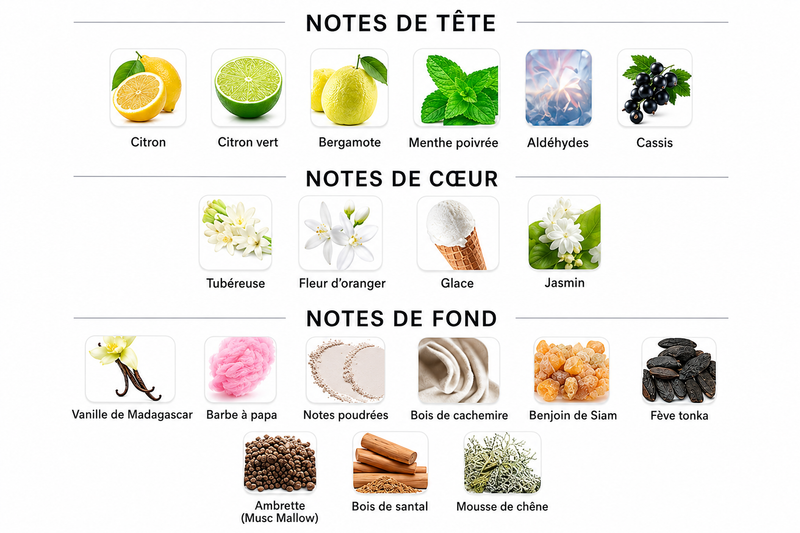 Notes Olfactives