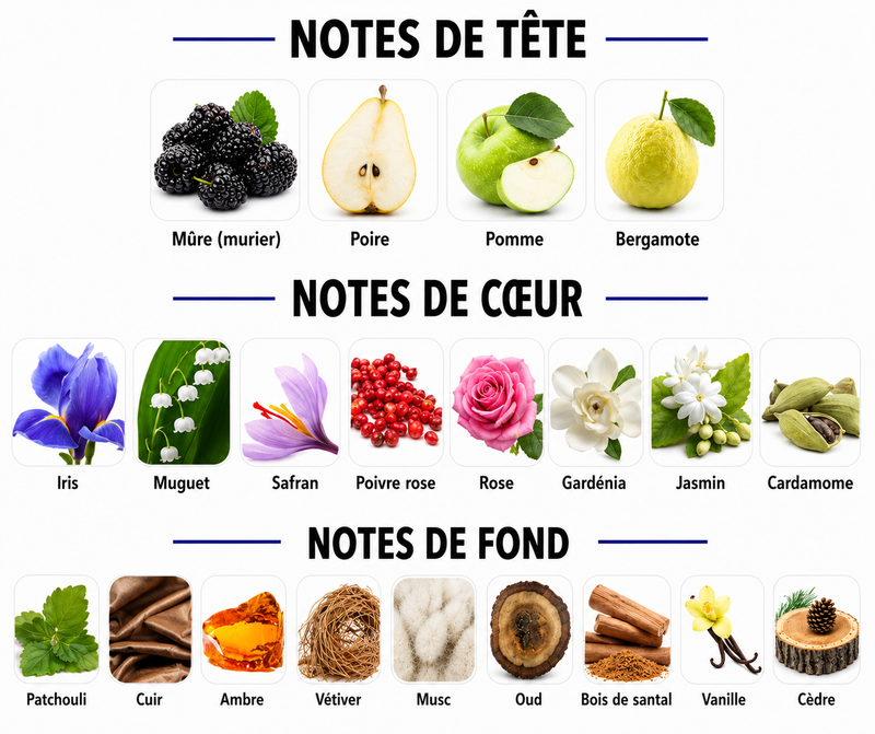 Notes Olfactives