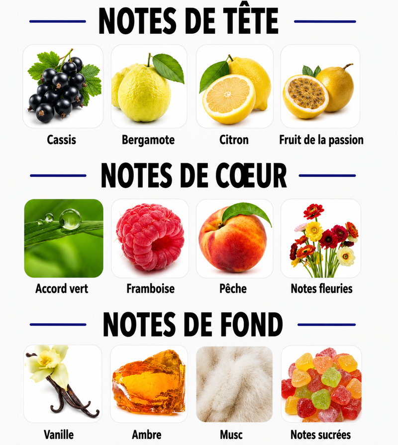 Notes Olfactives
