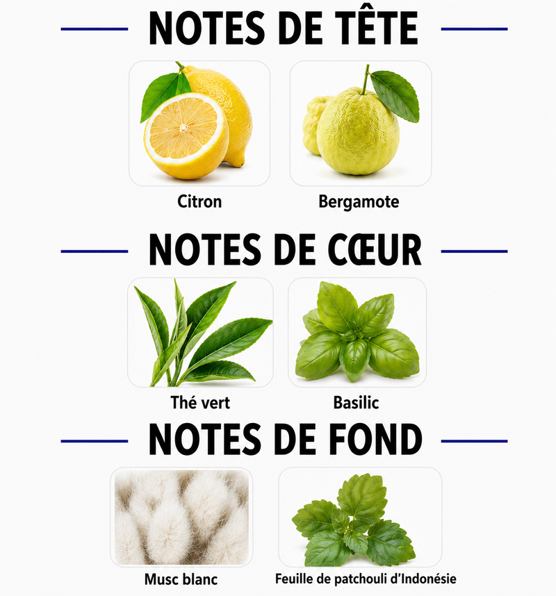 Notes Olfactives