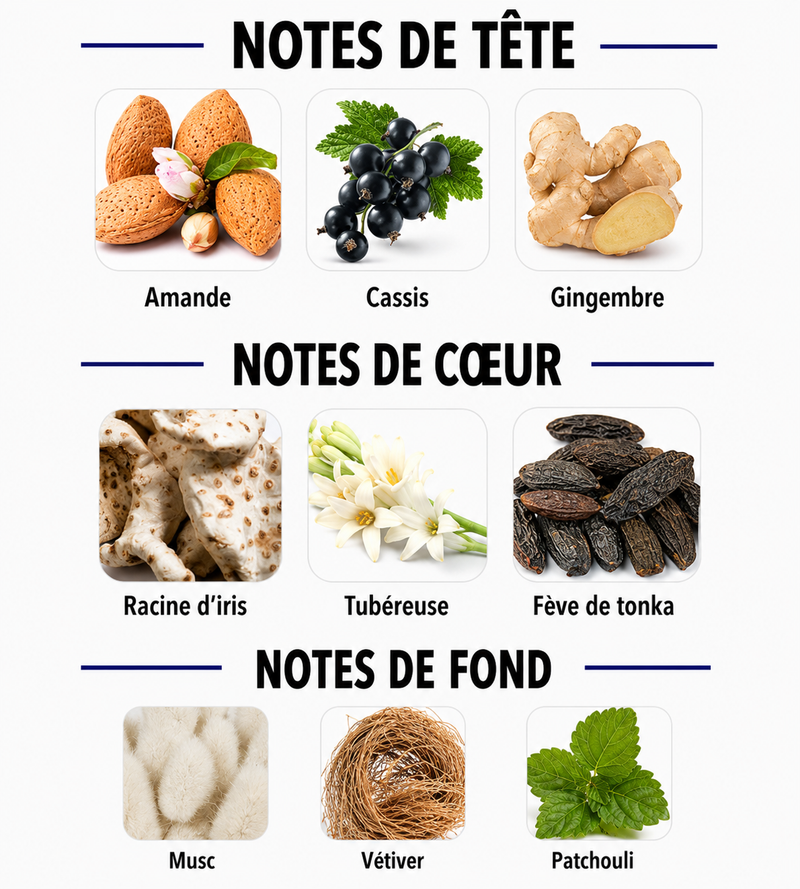 Notes Olfactives