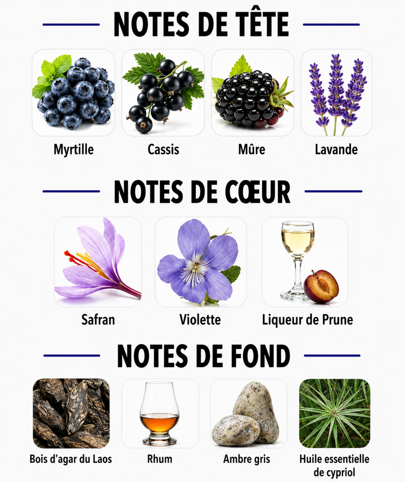Notes Olfactives