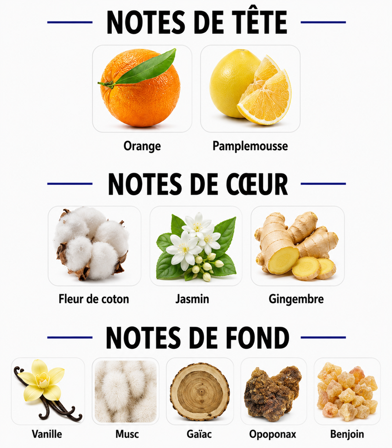 Notes Olfactives