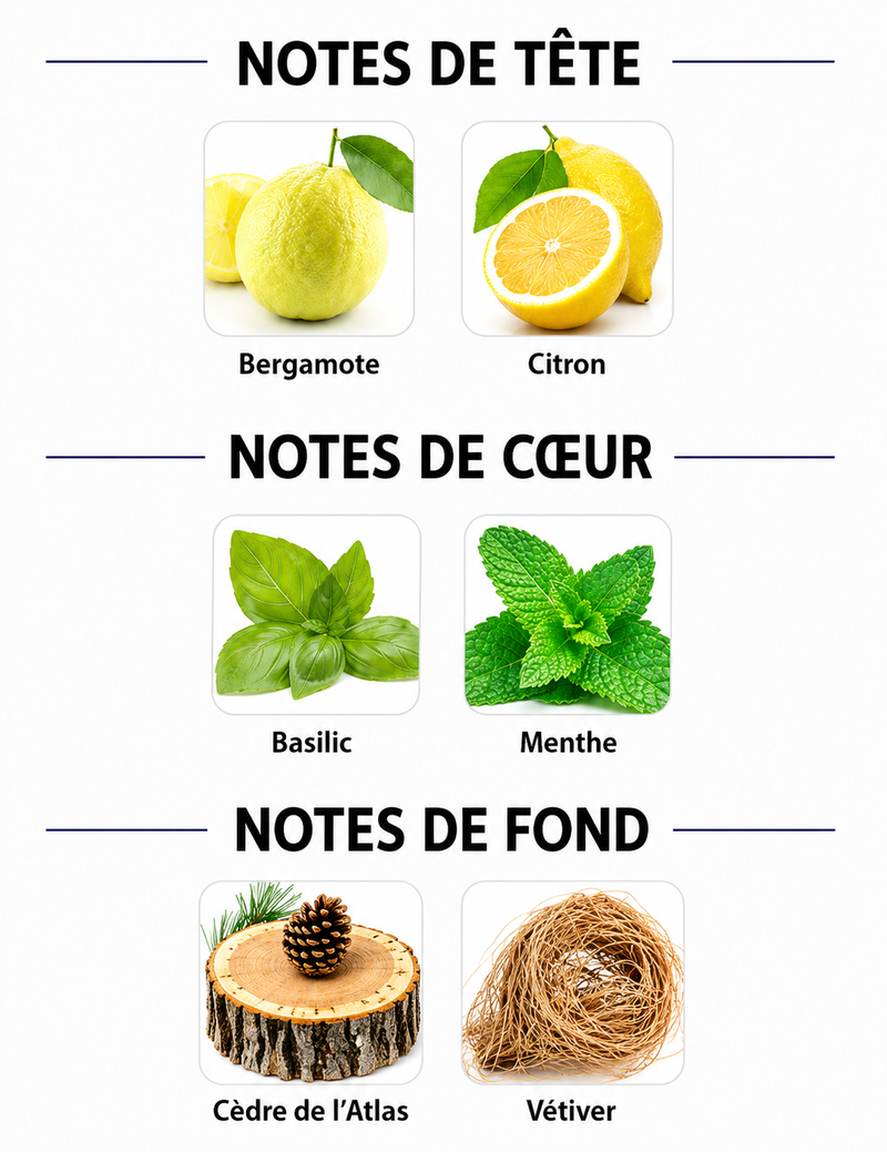 Notes Olfactives