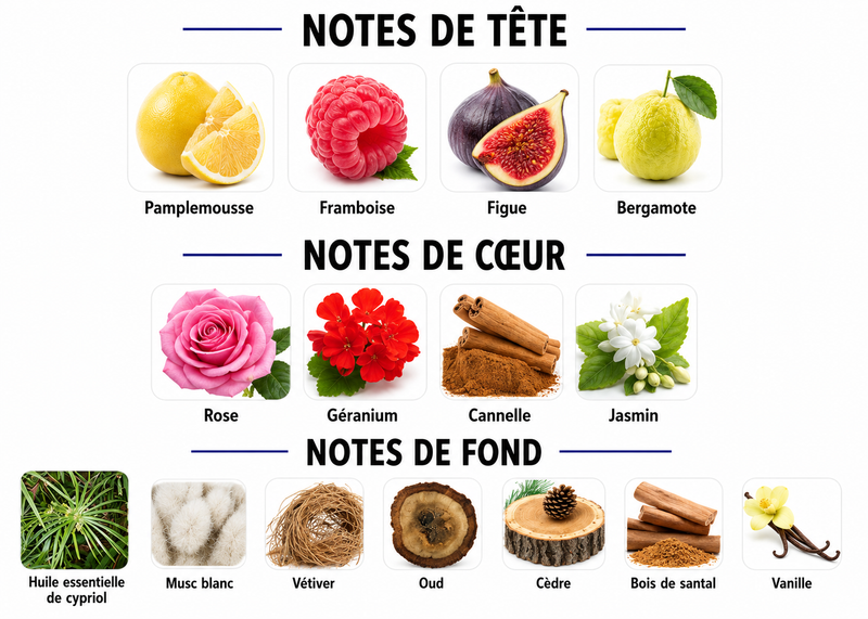 Notes Olfactives