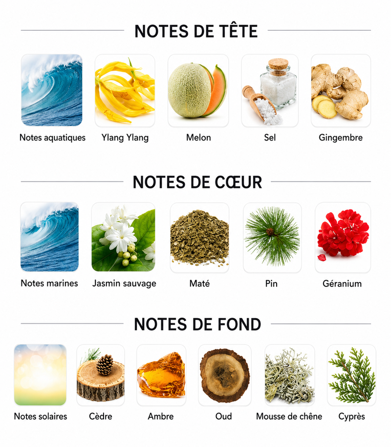 Notes Olfactives