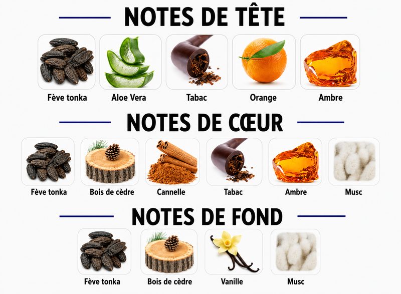 Notes Olfactives