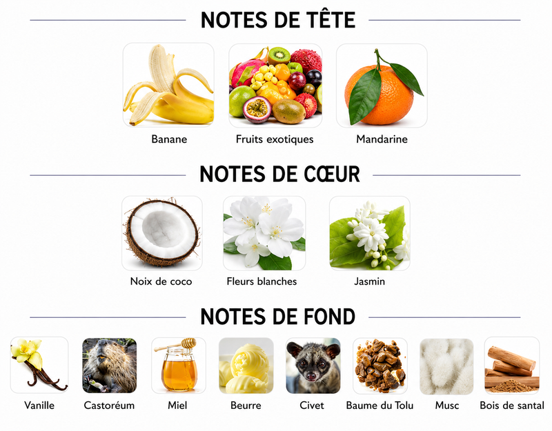 Notes Olfactives