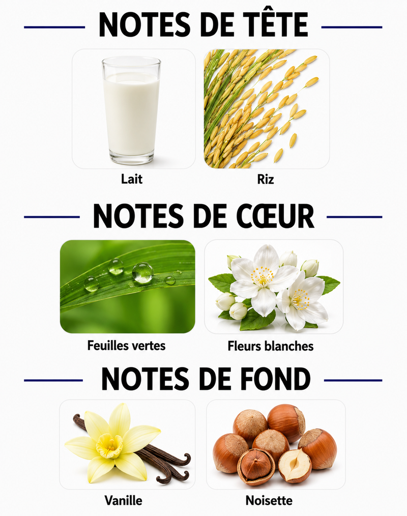 Notes Olfactives