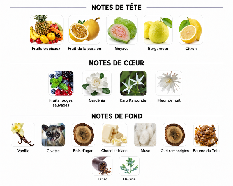 Notes Olfactives
