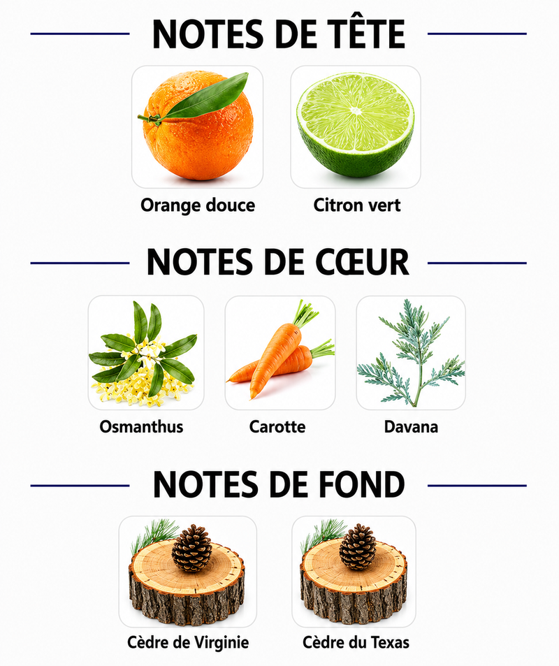 Notes Olfactives