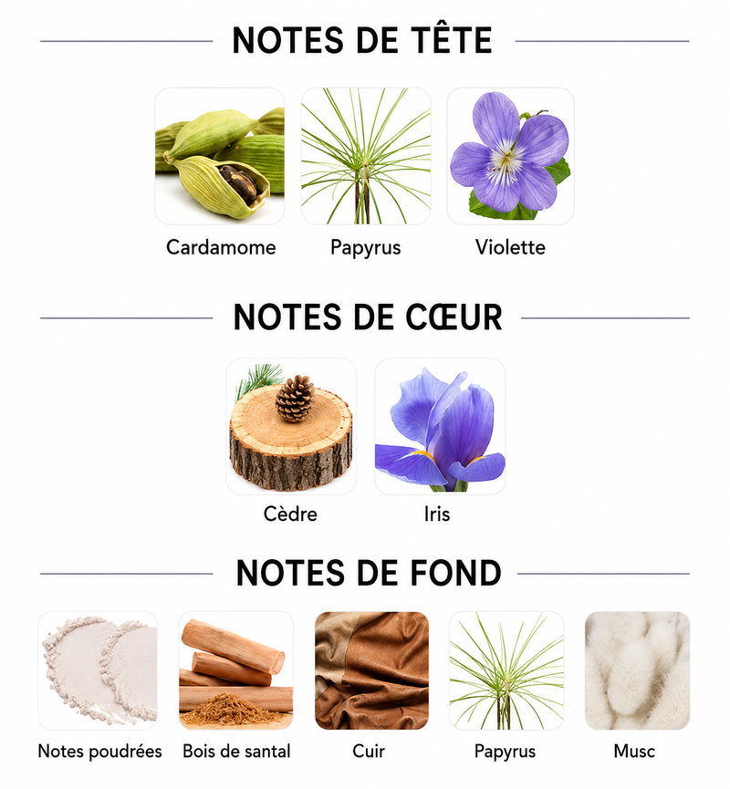 Notes Olfactives