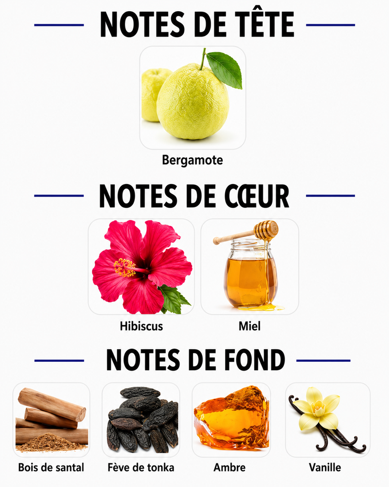 Notes Olfactives
