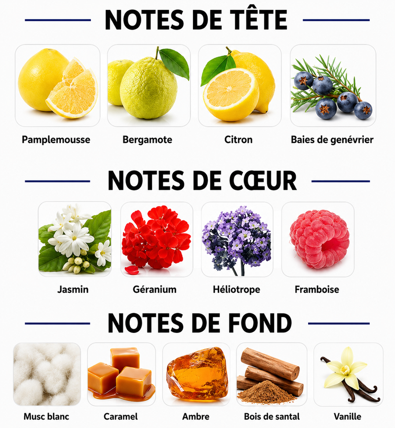 Notes Olfactives