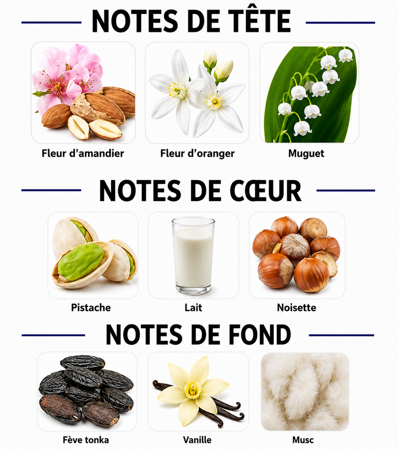 Notes Olfactives