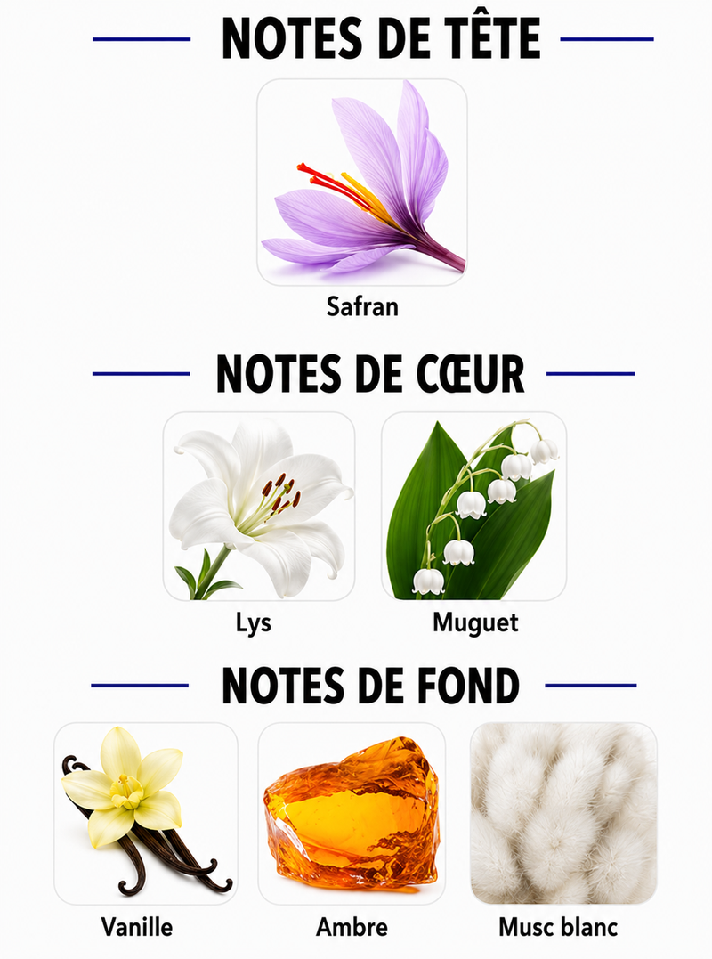 Notes Olfactives