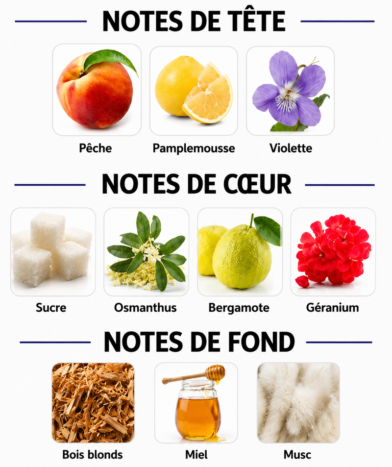Notes Olfactives