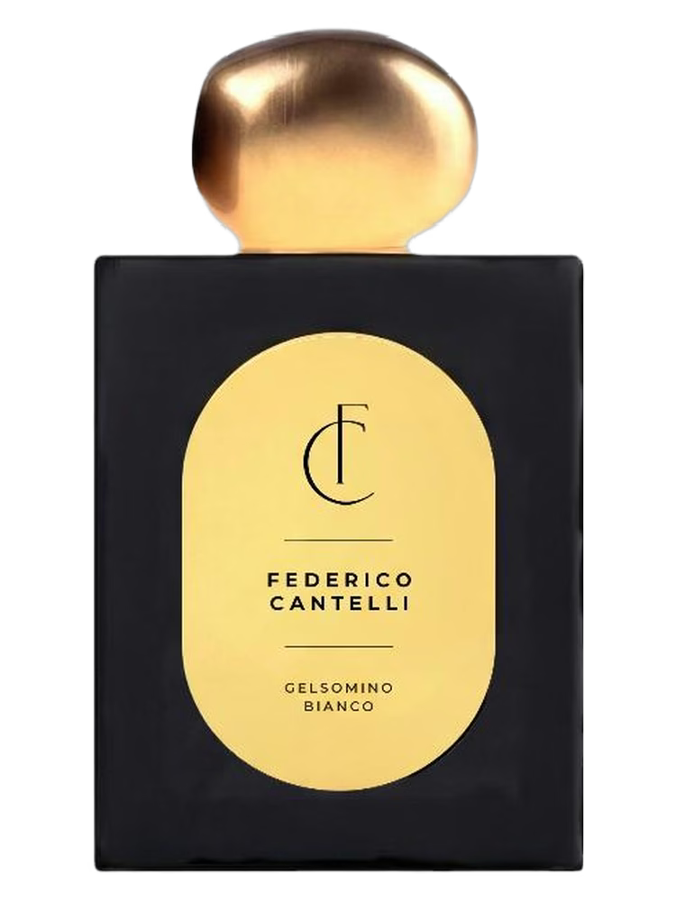 Gelsomino Bianco — Federico Cantelli