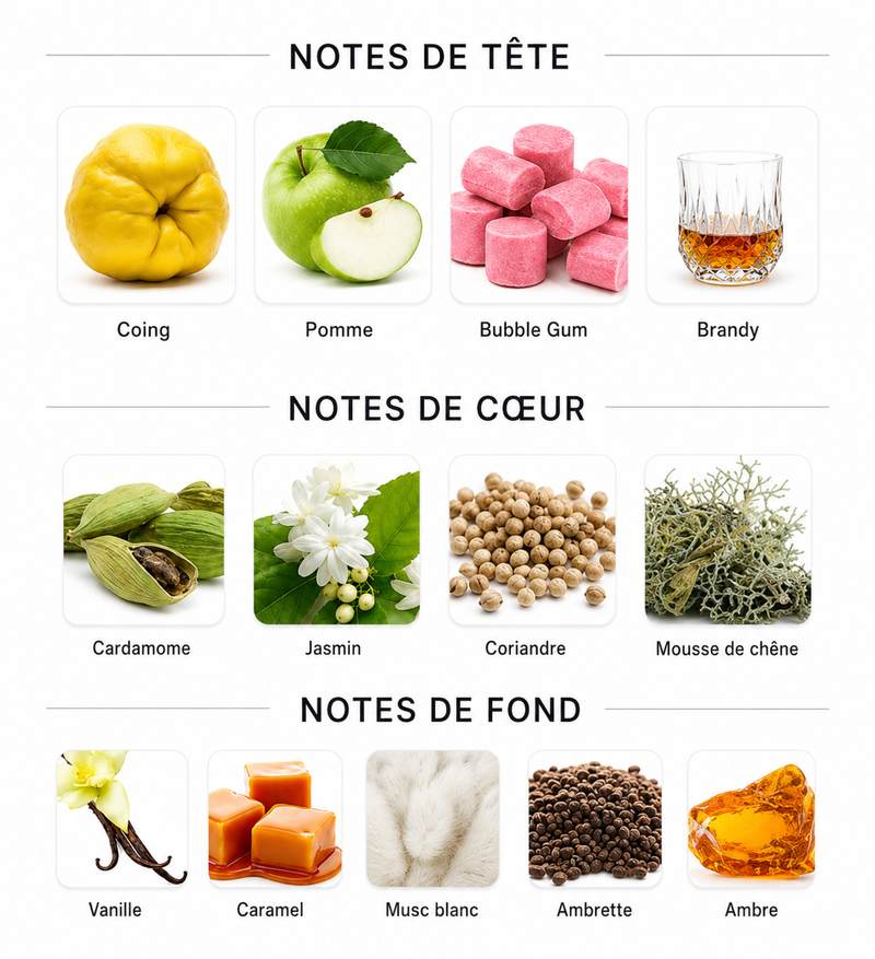 Notes Olfactives